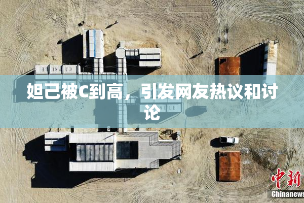 妲己被C到高，引发网友热议和讨论