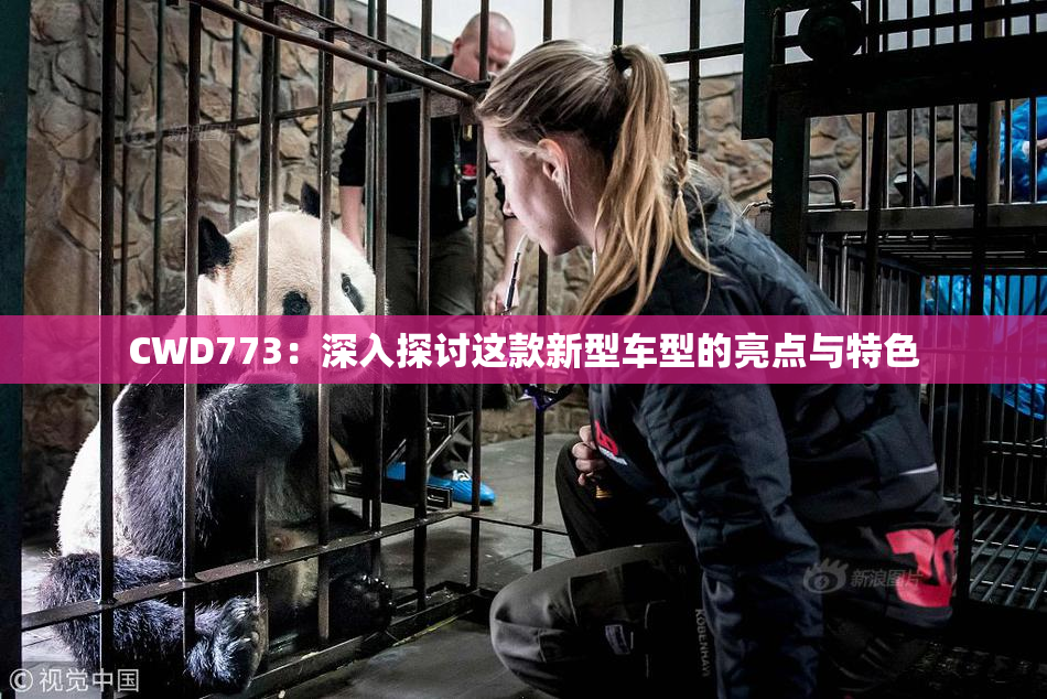 CWD773：深入探讨这款新型车型的亮点与特色