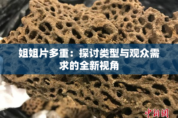 姐姐片多重：探讨类型与观众需求的全新视角