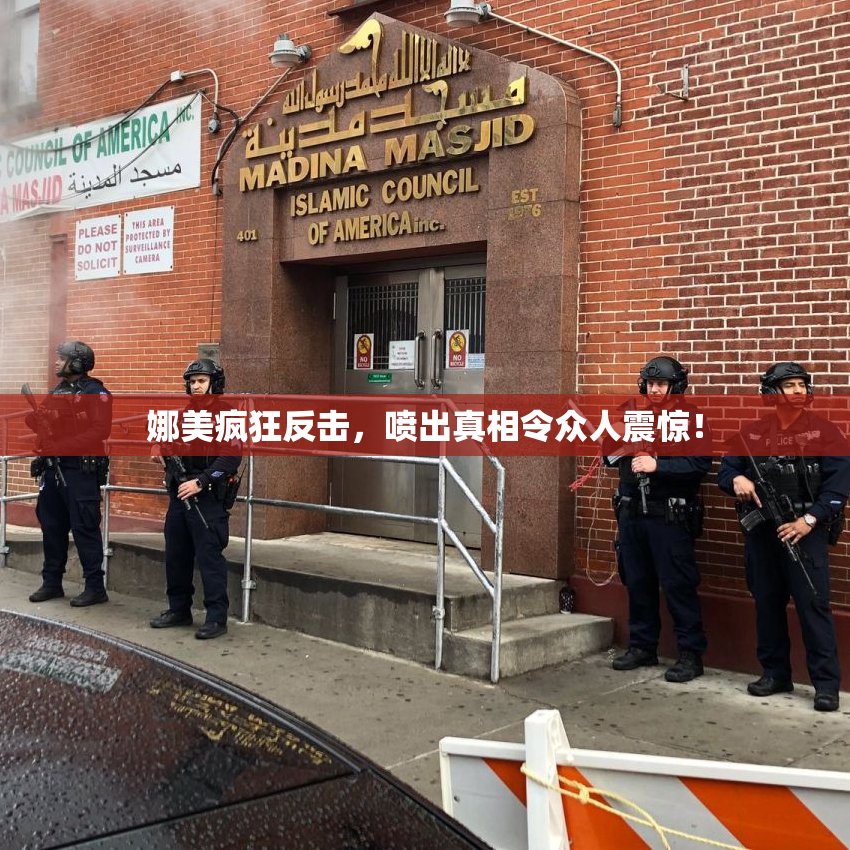 娜美疯狂反击，喷出真相令众人震惊！