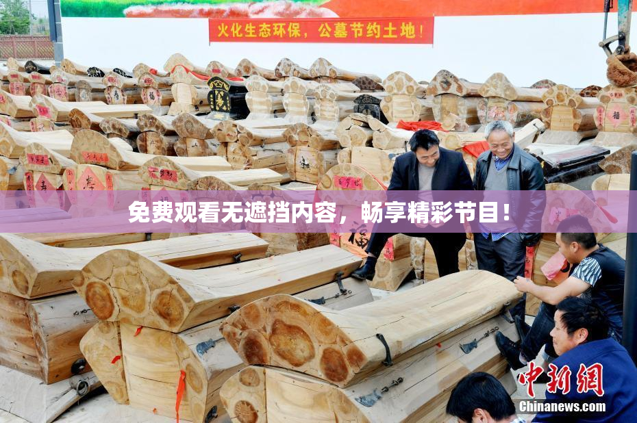免费观看无遮挡内容，畅享精彩节目！