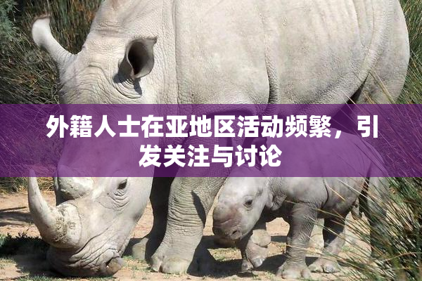 外籍人士在亚地区活动频繁，引发关注与讨论
