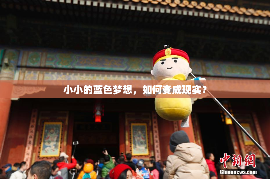 小小的蓝色梦想，如何变成现实？