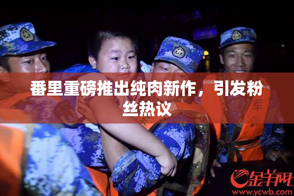 番里重磅推出纯肉新作，引发粉丝热议