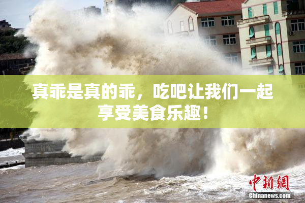 真乖是真的乖，吃吧让我们一起享受美食乐趣！