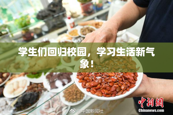 学生们回归校园，学习生活新气象！