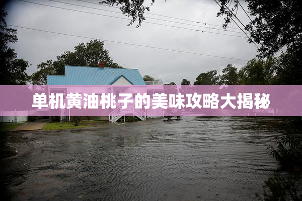 单机黄油桃子的美味攻略大揭秘