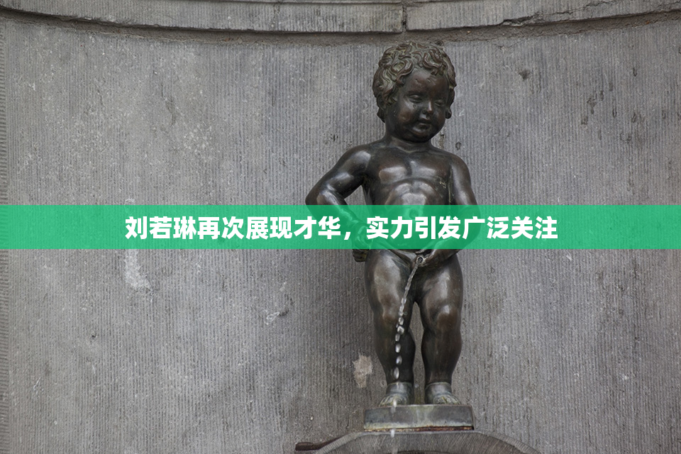 刘若琳再次展现才华，实力引发广泛关注