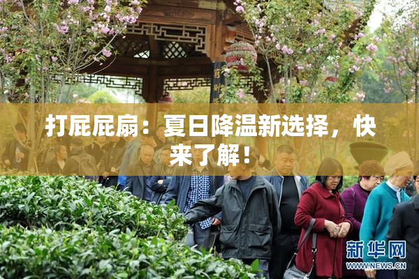 打屁屁扇：夏日降温新选择，快来了解！