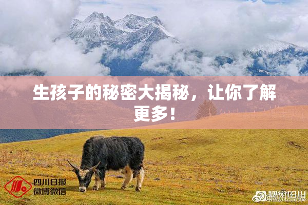 生孩子的秘密大揭秘，让你了解更多！