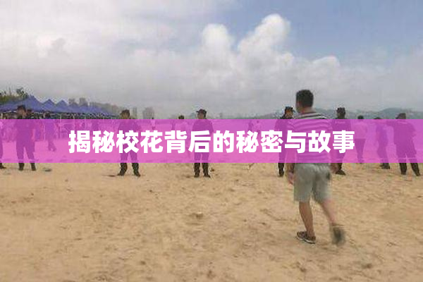 揭秘校花背后的秘密与故事