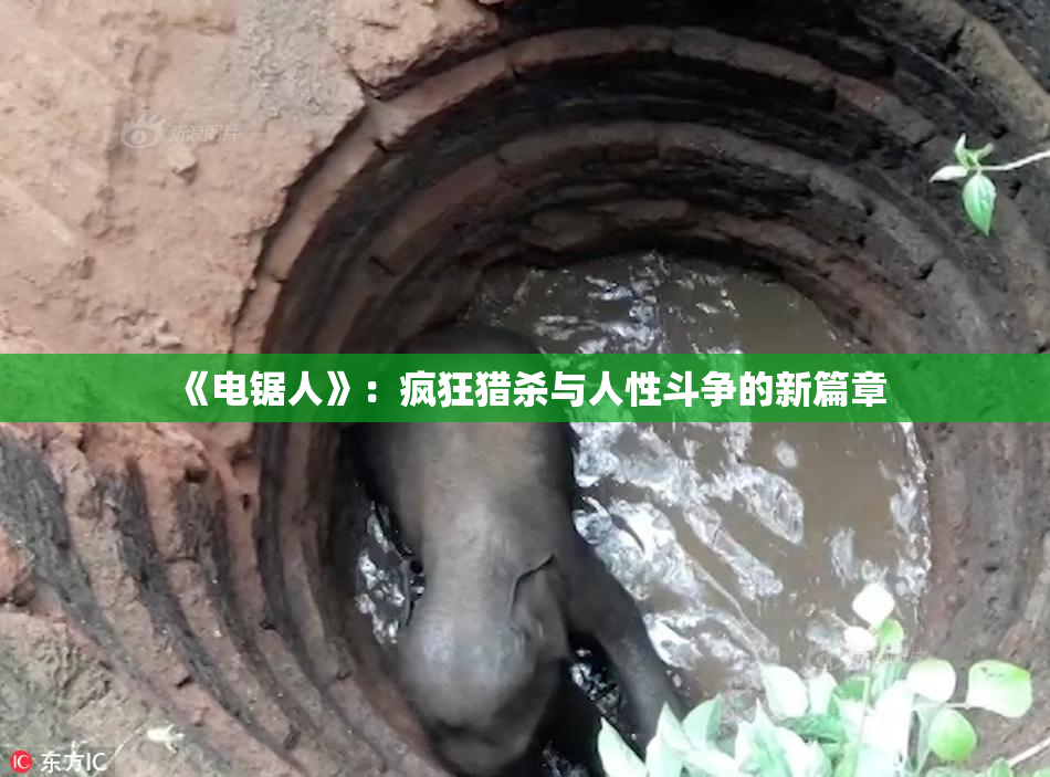 《电锯人》：疯狂猎杀与人性斗争的新篇章