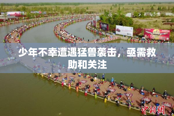 少年不幸遭遇猛兽袭击，亟需救助和关注