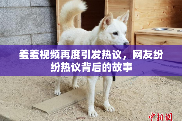 羞羞视频再度引发热议，网友纷纷热议背后的故事