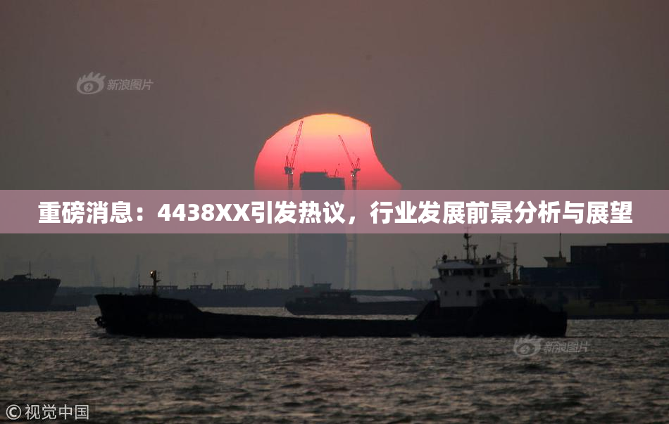 重磅消息：4438XX引发热议，行业发展前景分析与展望