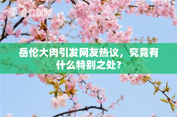 岳伦大肉引发网友热议，究竟有什么特别之处？