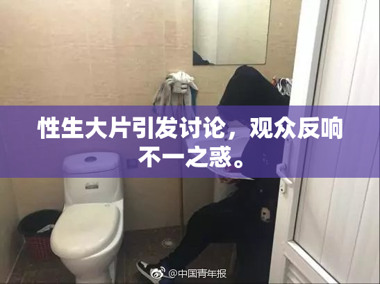 性生大片引发讨论，观众反响不一之惑。