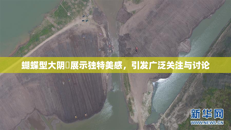 蝴蝶型大阴脣展示独特美感，引发广泛关注与讨论