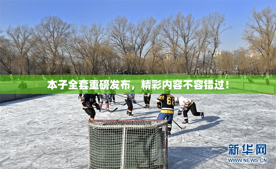 本子全套重磅发布，精彩内容不容错过！