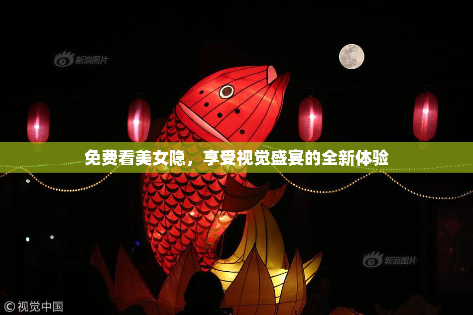 免费看美女隐，享受视觉盛宴的全新体验