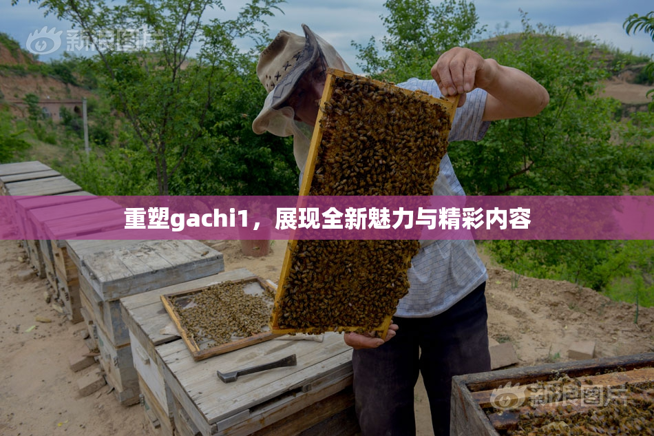 重塑gachi1，展现全新魅力与精彩内容