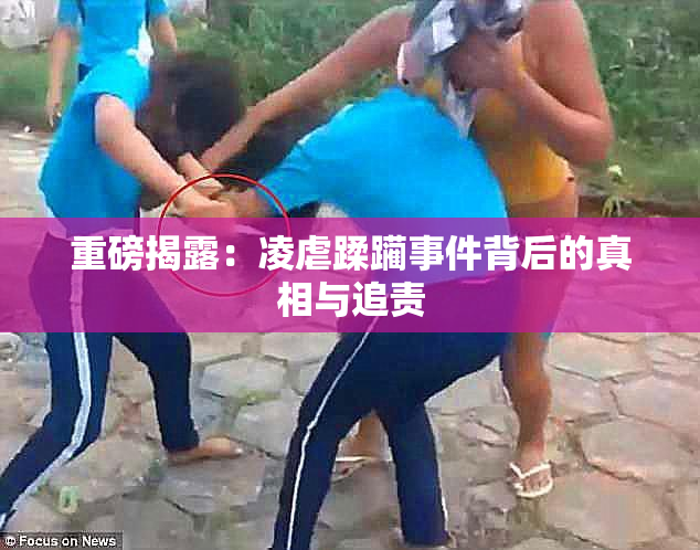 重磅揭露：凌虐蹂躏事件背后的真相与追责