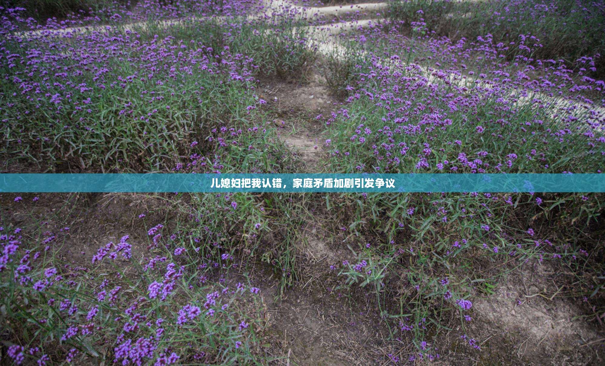 儿媳妇把我认错，家庭矛盾加剧引发争议
