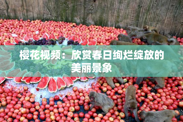 樱花视频：欣赏春日绚烂绽放的美丽景象