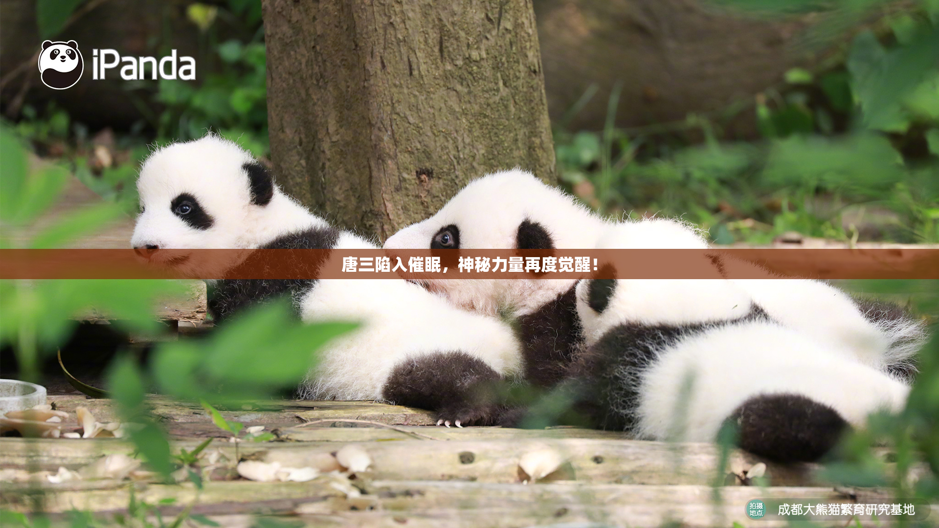 唐三陷入催眠，神秘力量再度觉醒！