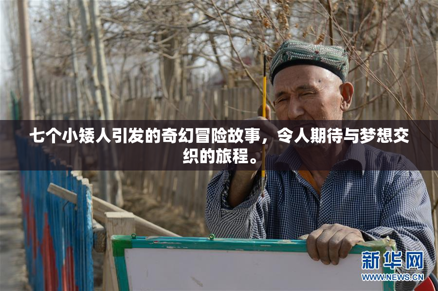 七个小矮人引发的奇幻冒险故事，令人期待与梦想交织的旅程。
