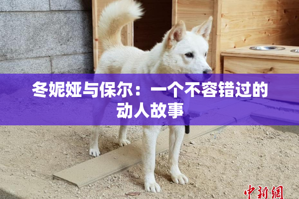 冬妮娅与保尔：一个不容错过的动人故事