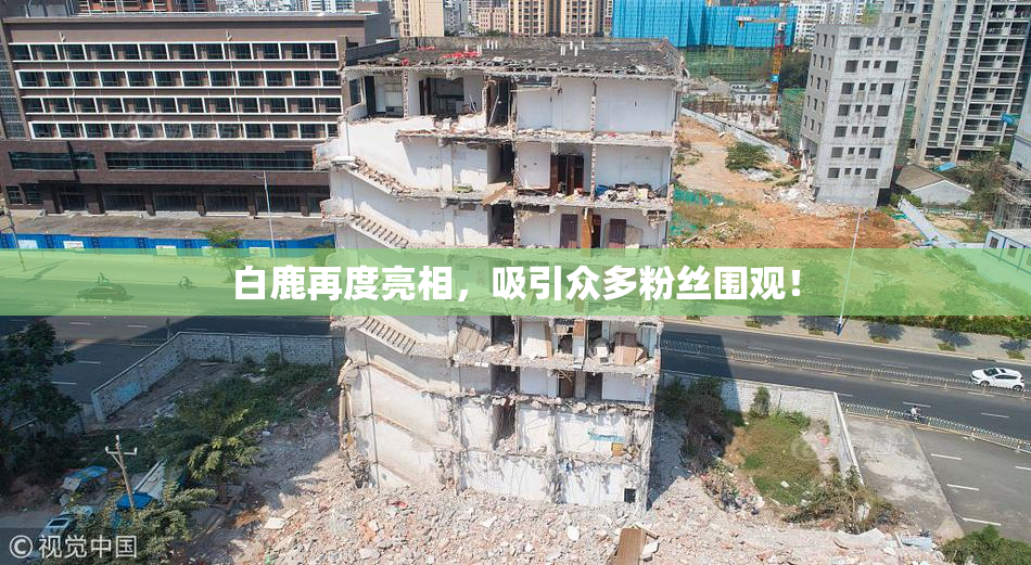 白鹿再度亮相，吸引众多粉丝围观！