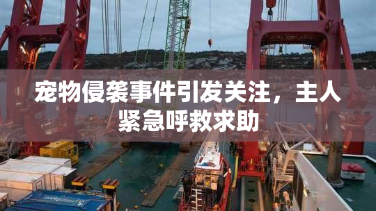宠物侵袭事件引发关注，主人紧急呼救求助