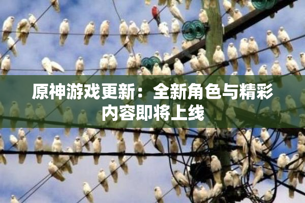 原神游戏更新：全新角色与精彩内容即将上线
