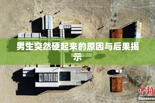 男生突然硬起来的原因与后果揭示