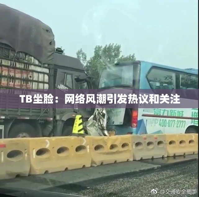 TB坐脸：网络风潮引发热议和关注