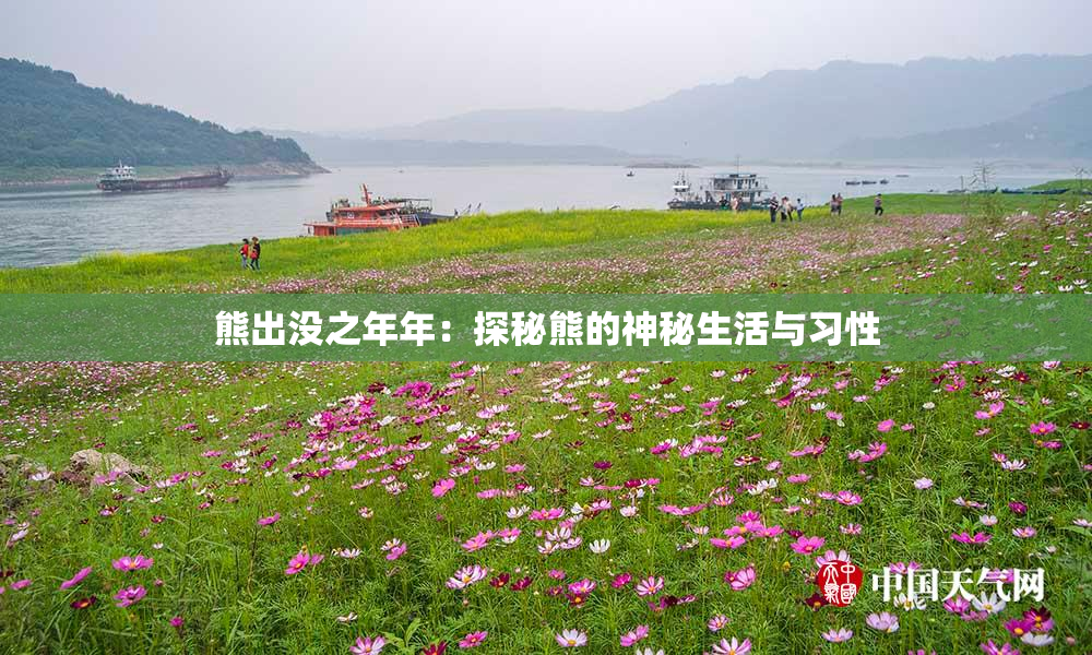 熊出没之年年：探秘熊的神秘生活与习性