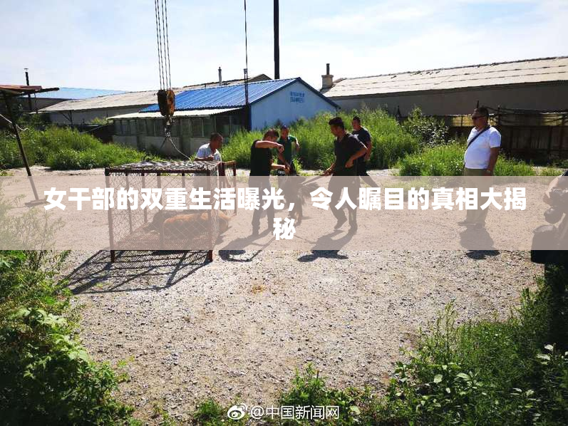 女干部的双重生活曝光，令人瞩目的真相大揭秘