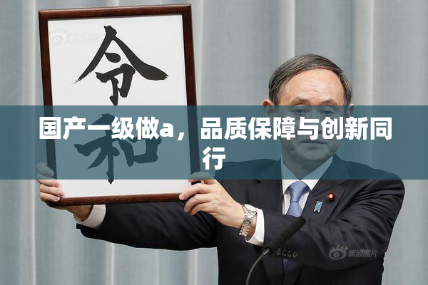 国产一级做a，品质保障与创新同行