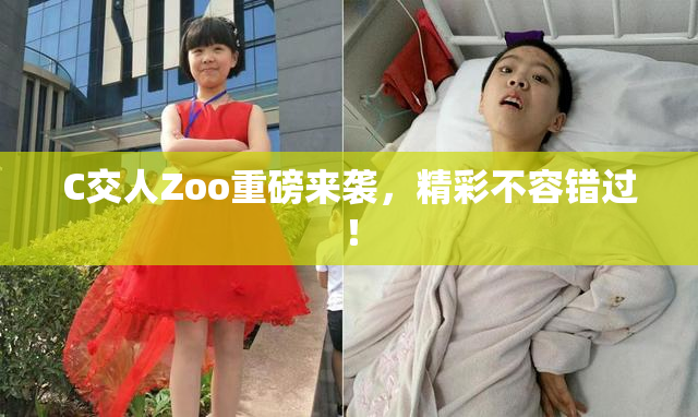 C交人Zoo重磅来袭，精彩不容错过！
