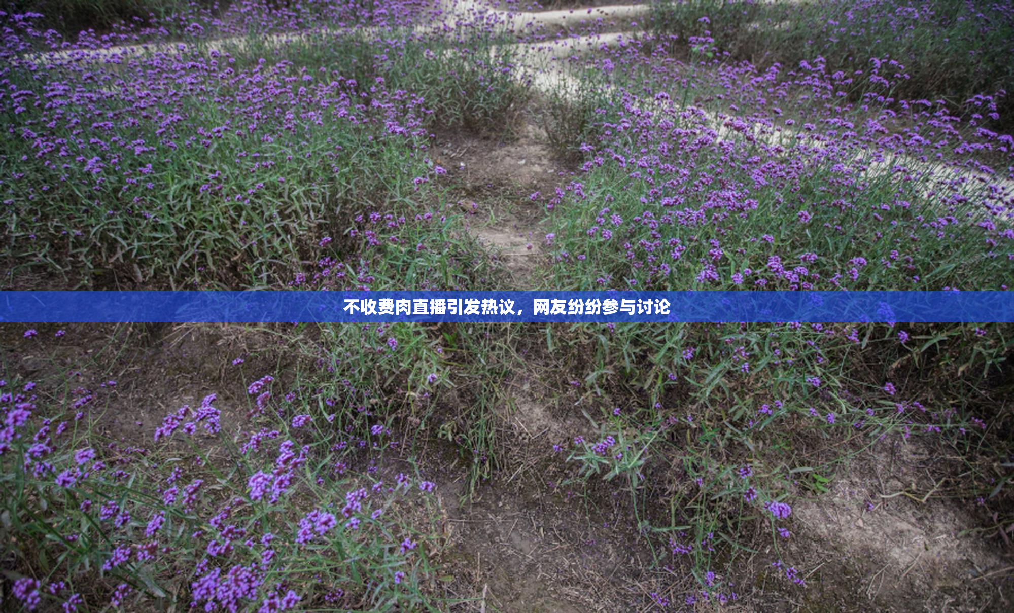 不收费肉直播引发热议，网友纷纷参与讨论
