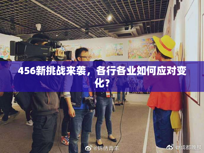 456新挑战来袭，各行各业如何应对变化？