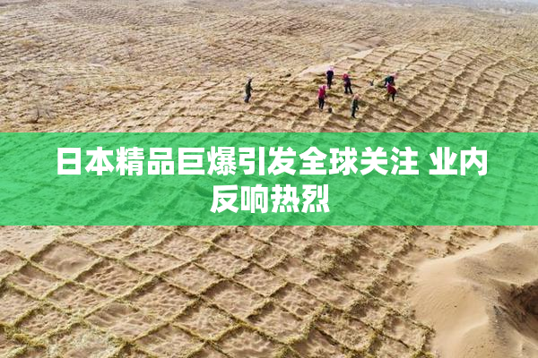 日本精品巨爆引发全球关注 业内反响热烈