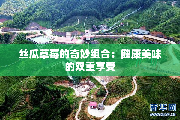 丝瓜草莓的奇妙组合：健康美味的双重享受