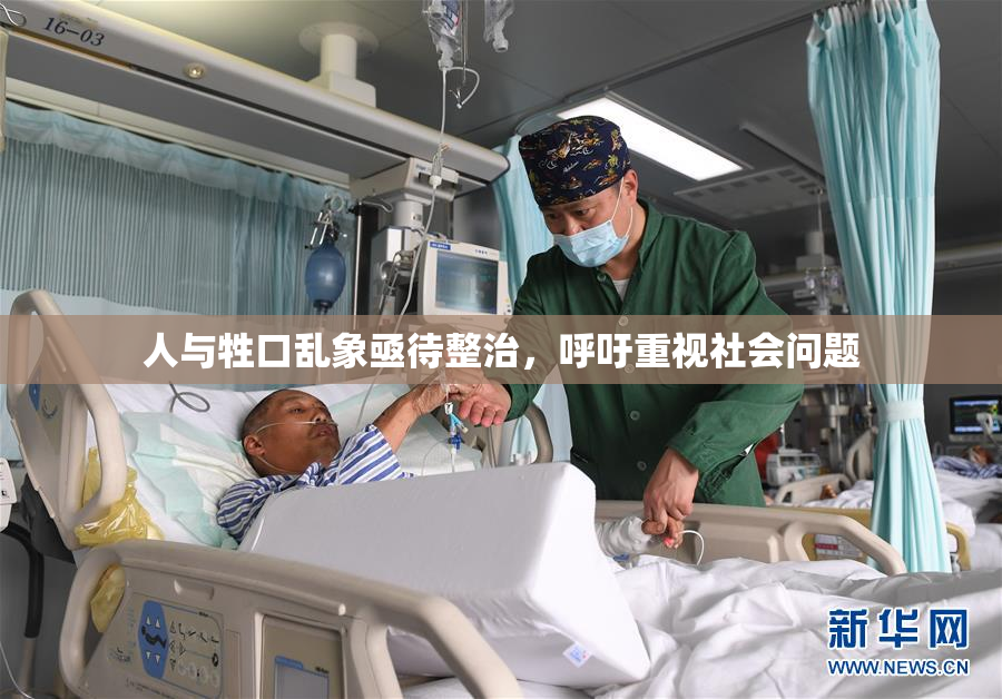 人与牲口乱象亟待整治，呼吁重视社会问题
