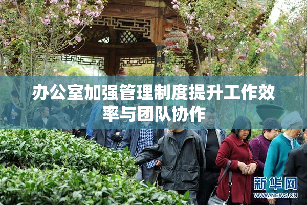 办公室加强管理制度提升工作效率与团队协作