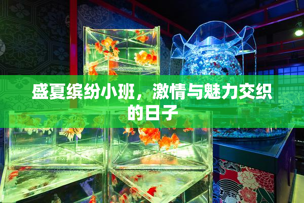 盛夏缤纷小班，激情与魅力交织的日子