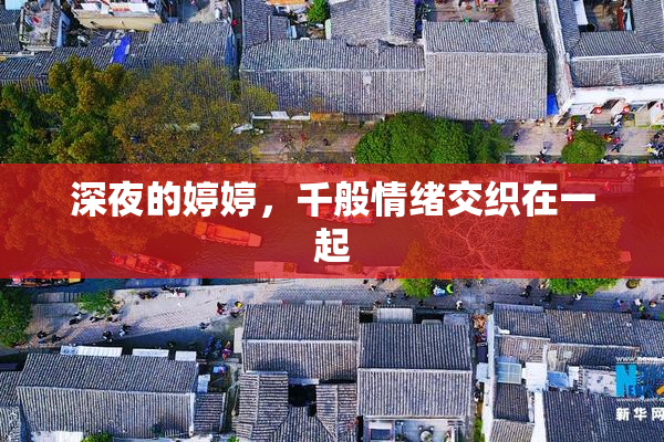 深夜的婷婷，千般情绪交织在一起