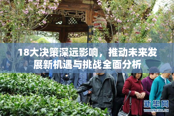 18大决策深远影响，推动未来发展新机遇与挑战全面分析