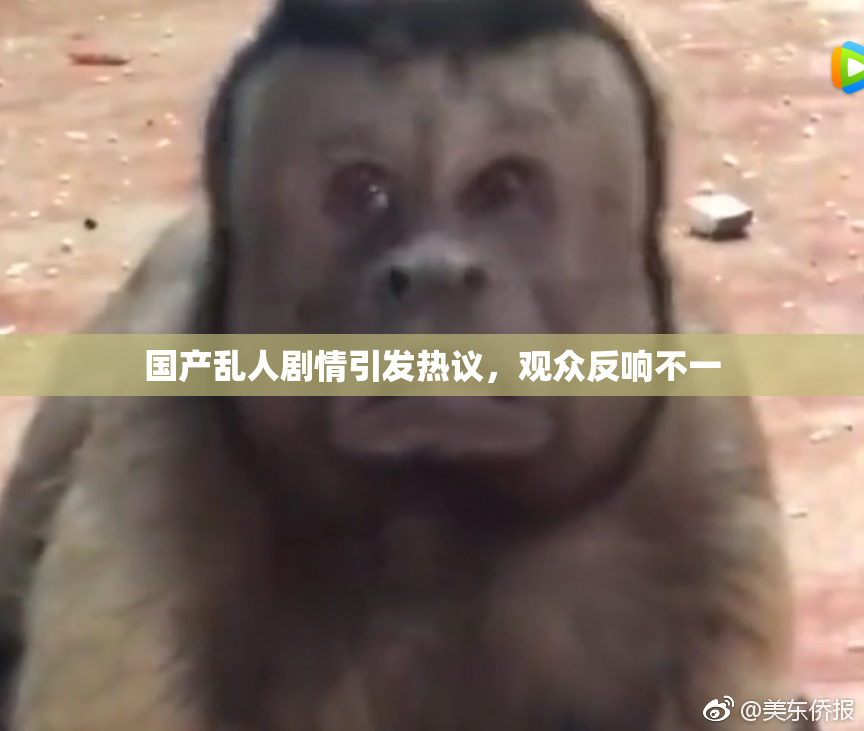 国产乱人剧情引发热议，观众反响不一